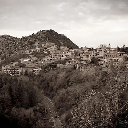 Amanites Dimitsana