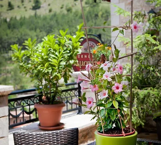 Amanites 3* Dimitsana